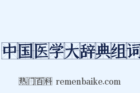 中国医学大辞典组词是什么意思的图片
